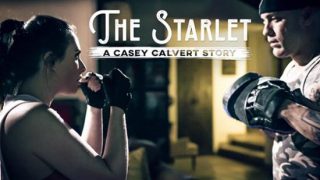 Casey Calvert (A Casey Calvert Story)
